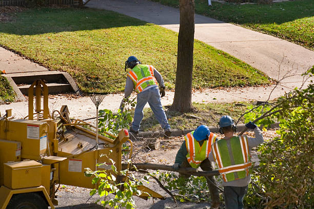 Mulching Services in Dellwood, MO